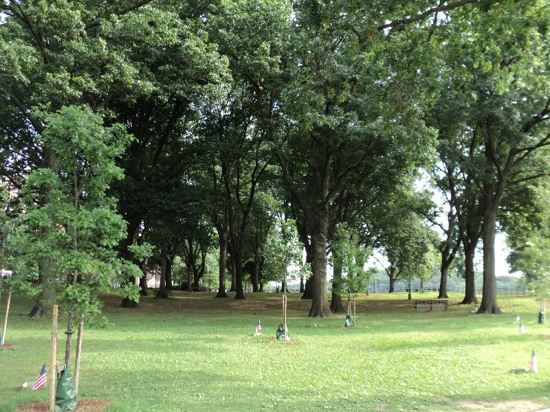 Zoom on the image : Van Cortlandt Memorial Grove
